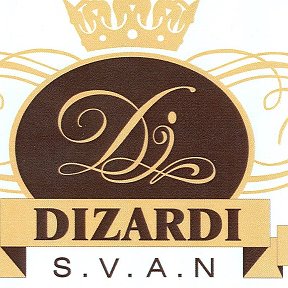 Фотография от DIZARDI vans