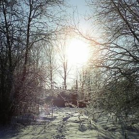 Фотография от Александр Овечкин