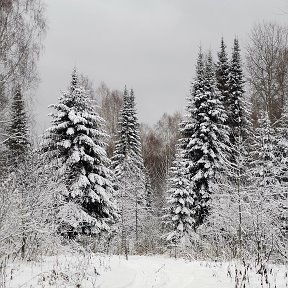 Тягунское Заречье