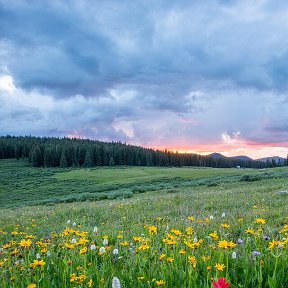 Фотография от Евгeния Мощенскaя (МАНИКЮР)