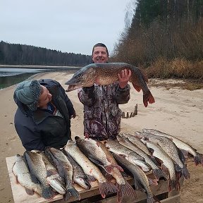 Фотография от Александр Гринкевич