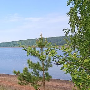 Фотография от Татьяна Соколова