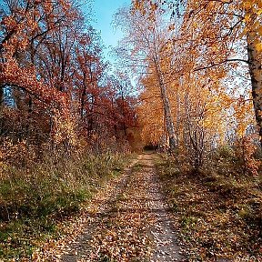 Фотография от Галя Золотовская (Баширова)