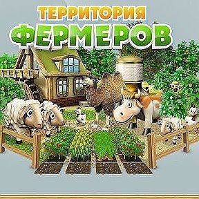 Фотография от Территория Фермеров