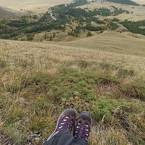 Фотография "Сидя на красивом холме....Курайский хребет, высота примерно 2200 м."