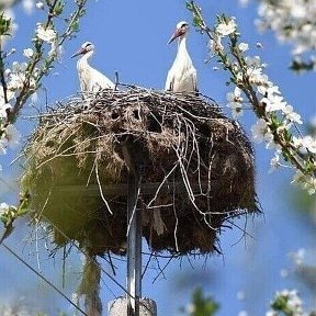 Фотография от Надежда Ивановна