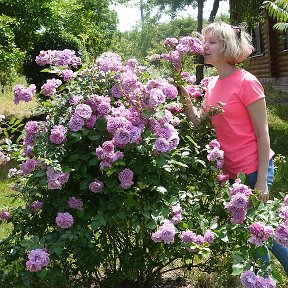 Фотография от Елена Баландина(Кислухина)