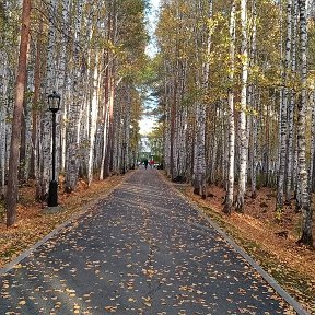 Фотография от ольга кузнецова (зубова)