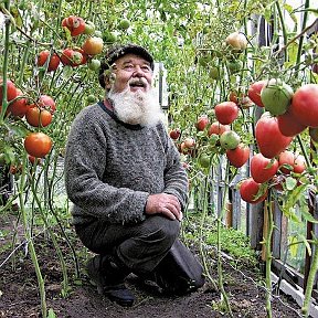 Фотография "Пусть хлопоты в саду и работа на дачном участке приносят не только усталость, но и простое человеческое удовольствие от выполненного труда.
Коллектив компании"