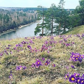 Фотография от Татьяна Рыль (Солодухина)