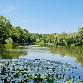 Фотография от Анастасия Панкратова (Атрощенко)