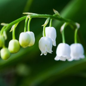 Фотография от Светлана Валерьевна