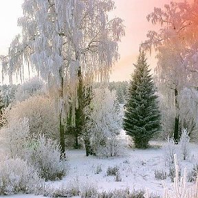 Фотография от Ирина Петухова