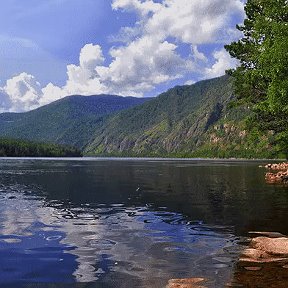 Фотография от викентий кот