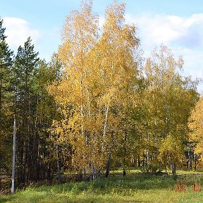 Фотография от БФ ЗИННАТ УЛЫ РБ