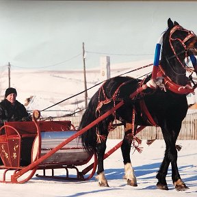 Фотография от Александр Ладаев