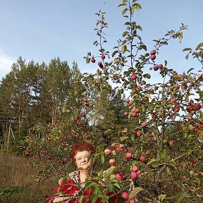 Фотография от Галина Василевич(Пивоварова)