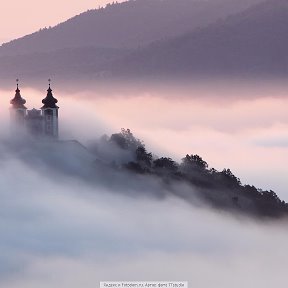 Фотография от олена шостака прудивус