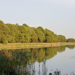 Фотография от Герман Костылев