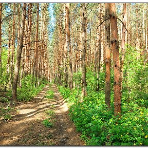 Фотография от АНАСТАСИЯ КУЧЕР