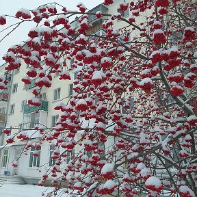 Фотография от Просто Miheeva