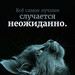 Фотография от Мурлыка 🐈