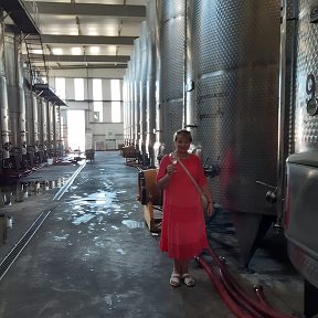 Фотография "На дегустации грузинских вин."
