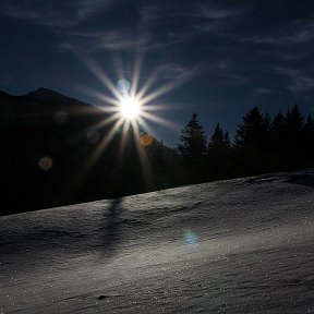 Фотография от Алексей  Самсонов