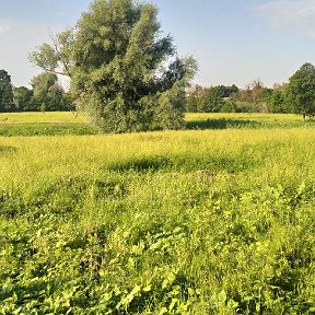 Фотография от Виктор Сардардинов