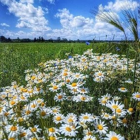 Фотография от Елена Егель