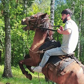 Фотография от Бродяги станут королями