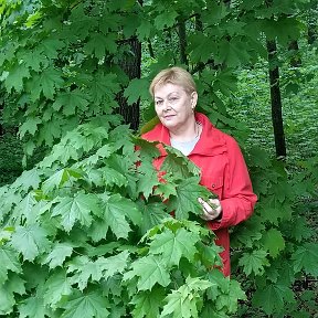 Фотография от Людмила Притула(Лазутина)