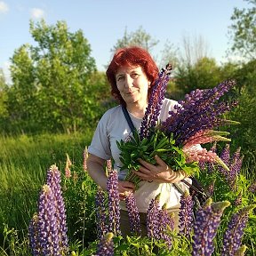 Фотография от Наталья Уварова (Сибирева)