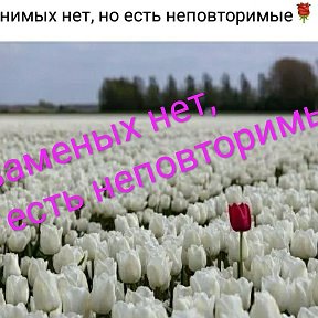 Фотография от ОДИНОКАЯ ВОЛЧИЦА