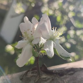 Фотография от людмила онищук макавчук