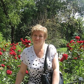 Фотография "Все цветы Киева...."