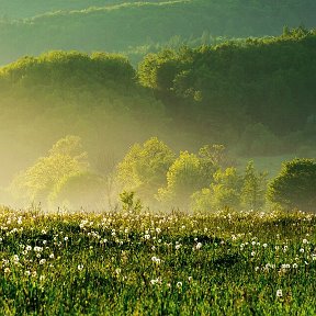 Фотография от СвЕтЛаНа ЗаХаРоВа