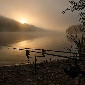 Фотография от Александр Кац