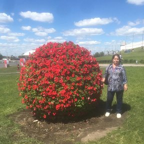 Фотография от Марина Бардаклы(Шильникова)