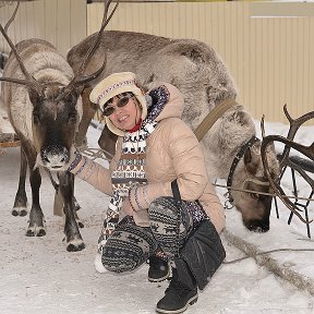 Фотография "Олешки -симпатяшки !!!"