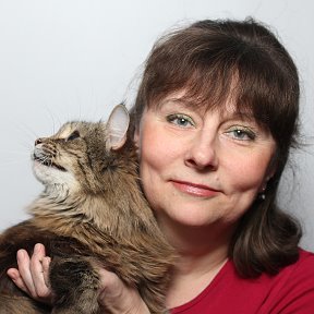Фотография "2015г., я с Манькой.. Чем больше я узнаю людей, тем сильнее люблю Кошек!!"