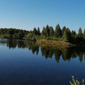 Фотография от Альгина Саматова