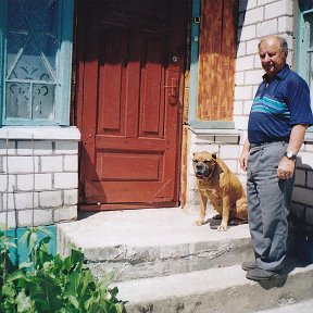 Фотография "2006 год. Еще дверь старая, окна голубые старые и на веранде старые. Еще жива боксер Злата."