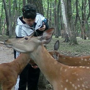 Фотография от гульнара нурмеева