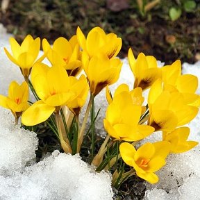 Фотография от Юлия Овчинникова (Прокопенко)