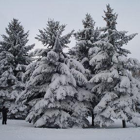 Фотография от Григорий Кулик