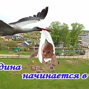 Фотография от Татьяна Огородникова