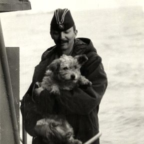 Фотография "февраль 1985, Средиземное море, Гена - любимец и баловник экипажа.Боевой пёс."Сын полка". Назван в честь замполита - Гены Воронина."