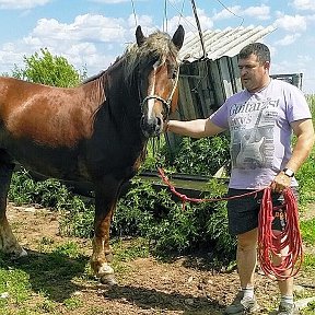 Фотография от Игорь Комраков