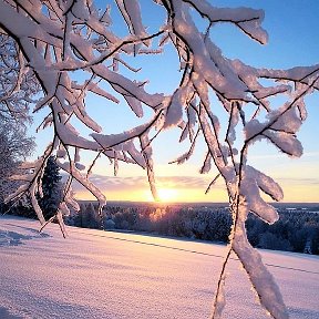 Фотография от александра гроховская